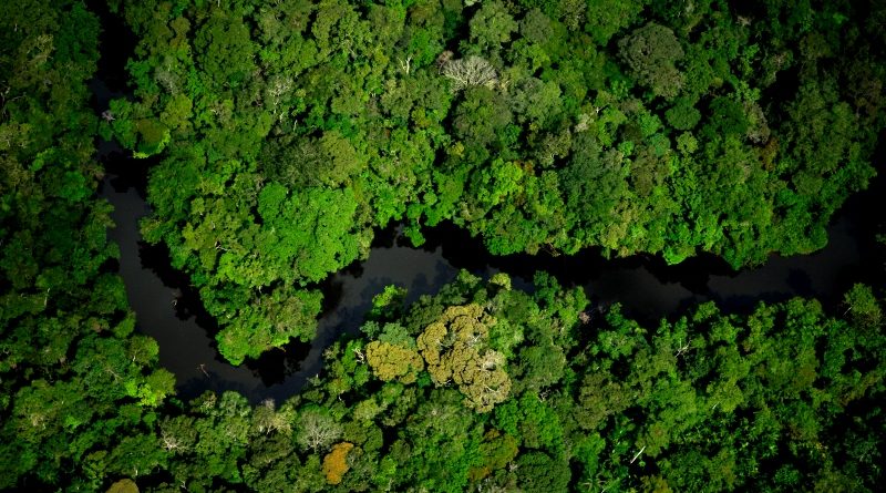 Justiça suspende extinção de Reserva na Amazônia :)